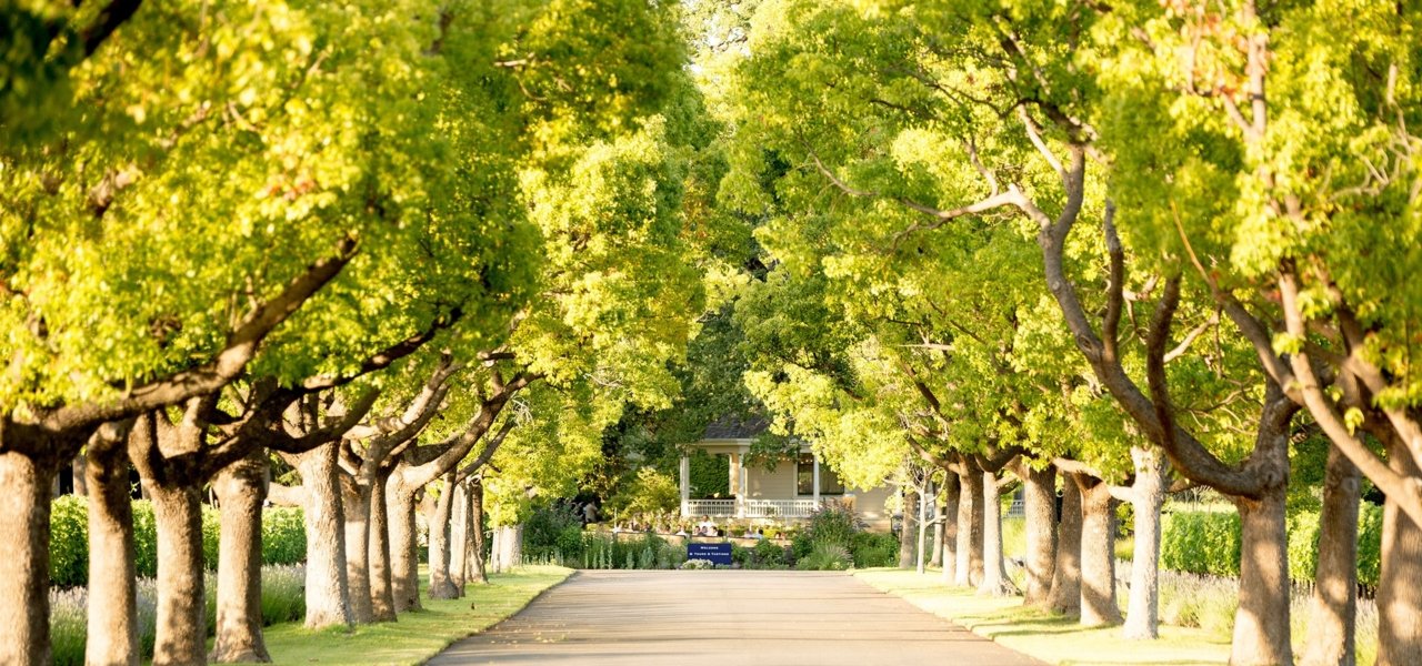 St. Supéry Estate Vineyards and Winery